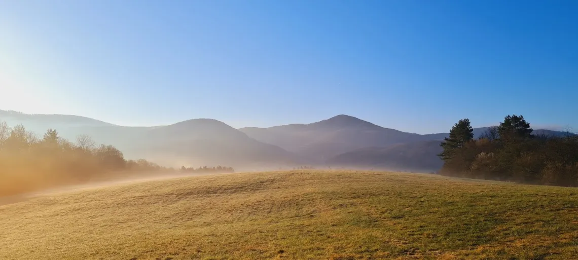 6 faktorov, ktoré zvýšia cenu vašej poľnohospodárskej pôdy pri predaji